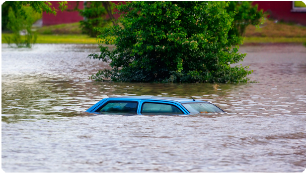 Flooding and Cleanup