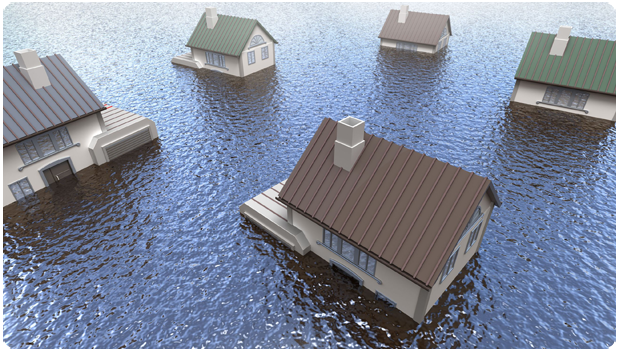 Water Mitigation